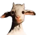 Emoji EC_cursed