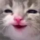 Emoji chat