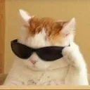 Emoji EC_cat_cool