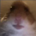 Emoji Hamster