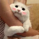 Emoji emoji_10