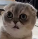 Emoji emoji_11