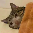 Emoji emoji_12