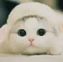 Emoji emoji_13