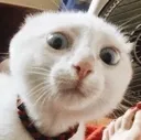 Emoji emoji_15