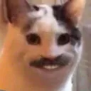 Emoji emoji_16