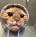 Emoji emoji_18