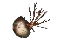 Emoji echantillon