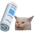 Emoji kittynewspaper