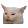 Emoji WK_catconfused