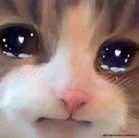 Emoji mehcat