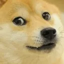 Emoji doge