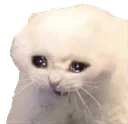 Emoji crycat