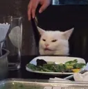 Emoji cat