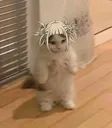 Emoji emoji_1