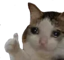 Emoji sad_thumb_up
