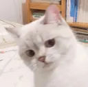 Emoji CHAT11snowball3