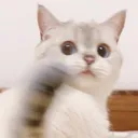 Emoji CHAT9snowball5