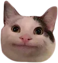 Emoji polite_cat