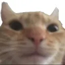 Emoji emoji_54