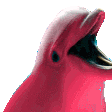 Emoji 12