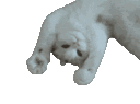 Emoji emoji_162