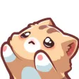 Emoji cat21