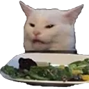 Emoji toicat