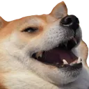 Emoji mcg_chien
