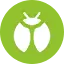 Emoji insecte