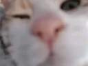 Emoji Taliclindoeil