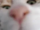 Emoji Taligrosnez