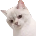 Emoji CHAT8NanaNope