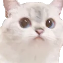 Emoji CHAT5NanaStare