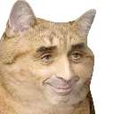 Emoji Zkatze