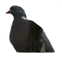 Emoji neutre