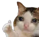 Emoji thumbcat