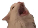Emoji aaaaaah