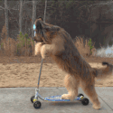 Emoji 003_ScooterDog