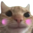 Emoji chat_flushed