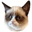 Emoji grumpy
