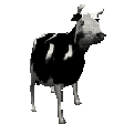 Emoji 001_cowdance