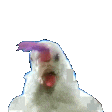 Emoji 001_chickendance