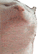 Emoji 002_catjam