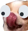 Emoji udogdrama
