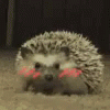 Emoji 003_shyhedge