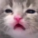 Emoji meme_chat_mooh