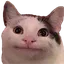 Emoji meme_chat_neutral