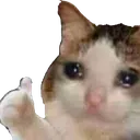 Emoji 5_YesKitten