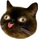 Emoji 5_derpblep
